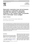 Pleomorphic mammalian tumor-derived bacteria self