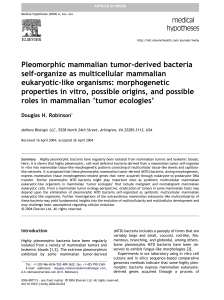 Pleomorphic mammalian tumor-derived bacteria self