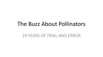 The Buzz About Pollinators