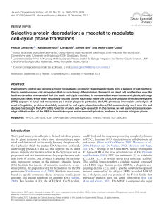 Selective protein degradation: a rheostat to