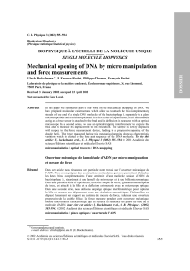 Mechanical opening of DNA by micromanipulation and force