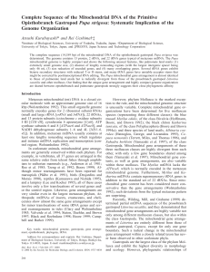 Complete Sequence of the Mitochondrial DNA of