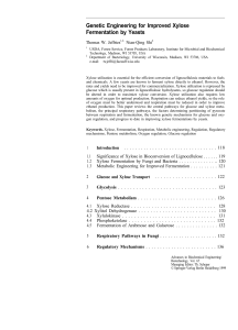 Genetic Engineering for Improved Xylose Fermentation by Yeasts