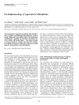 Psychopharmacology of Aggression in Schizophrenia
