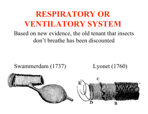 respiratory or ventilatory system
