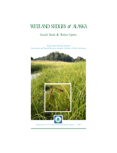 Sedges cover - Alaska Center for Conservation Science