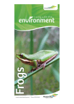 Frogs - Moreton Bay Regional Council