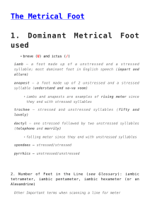 The Metrical Foot