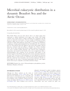 Microbial eukaryotic distribution in a dynamic Beaufort Sea and the