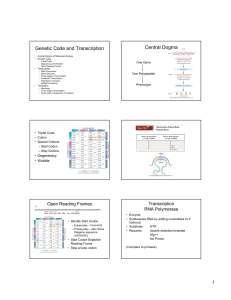 Genetic Code and Transcription