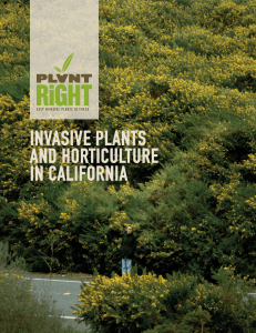 InvasIve Plants and HortIculture In calIfornIa