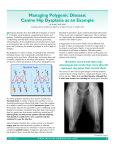 Managing Polygenic Disease: Canine Hip Dysplasia as an Example