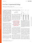 Error bars in experimental biology