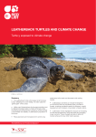 Leatherback turtLeS and cLimate change