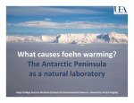 What causes foehn warming?