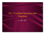 Ch. 7 Cellular Structure and Function