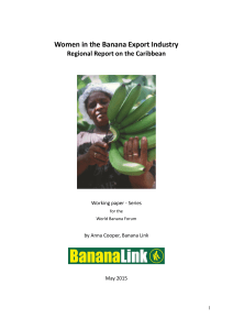 Regional Report on the Caribbean