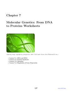 Chapter 7 Molecular Genetics: From DNA to Proteins Worksheets