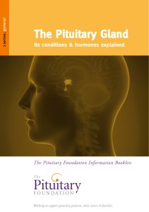 The Pituitary Gland - The Pituitary Foundation