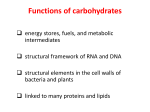 Functions of carbohydrates