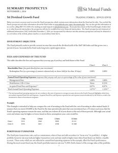 summary prospectus