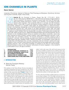 ion channels in plants