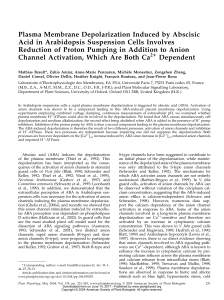 Plasma Membrane Depolarization Induced by