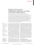 Making a firm decision: multifaceted regulation of cell fate in the