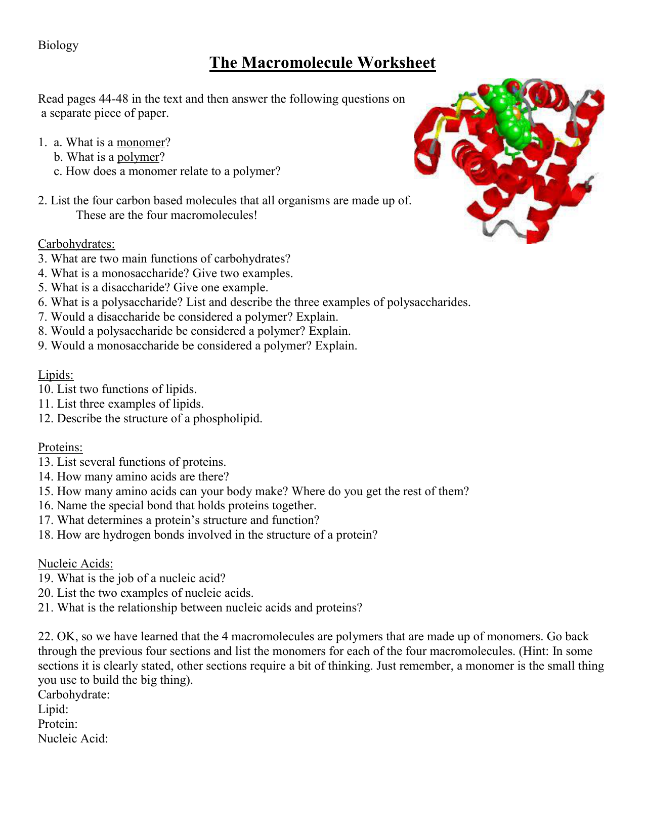 Macromolecules Worksheet High School | Newatvs.Info