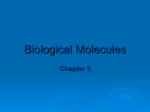 Chapter 3 Biological Molecules