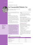 An Uncontrolled Diabetic Cat - Today`s Veterinary Practice