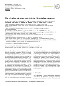 The role of mixotrophic protists in the biological