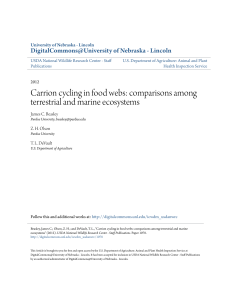 Carrion cycling in food webs: comparisons among terrestrial and