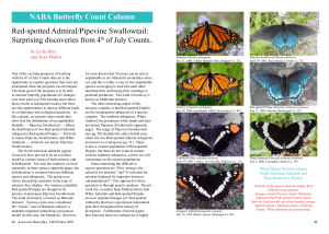 NABA Butterfly Count Column Red