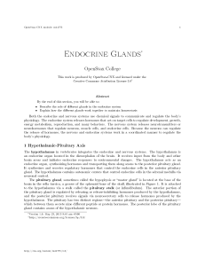 Endocrine Glands