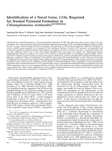Identification of a Novel Gene, CIA6, Required for