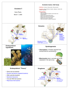 Evolution Domains Endosymbiont hypothesis Symbiogenesis