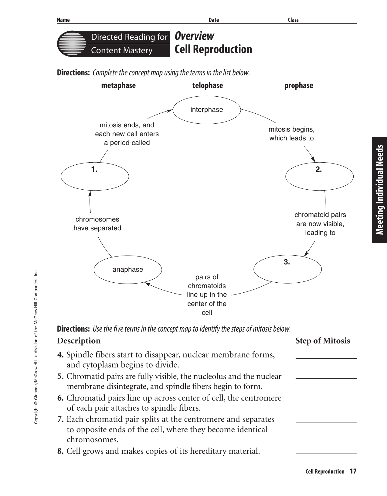 Organisms Cell Reproduction Concept Map Biology  www.topsimages.com Regarding Cell Reproduction Worksheet Answers