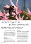 Invasive species in pollination networks
