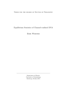 Equilibrium Statistics of Channel-confined DNA