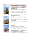 Printable Desert Plants Page - Anza