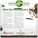 Meet the Decomposers