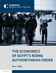 the economics of egypt`s rising authoritarian order