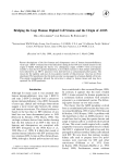 Bridging the Gap: Human Diploid Cell Strains and the Origin of AIDS