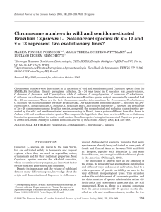 Chromosome numbers in wild and semidomesticated Brazilian
