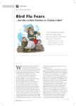 Bird Flu Fears - Are We a Little Chicken or Chicken Little?