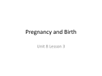 Pregnancy and Birth