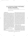 2 An Overview of Nucleic Acid Chemistry, Structure, and Function