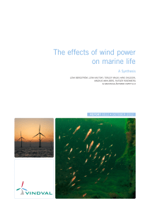 Report 6512 – The effects on wind power on marine life – A