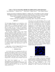 cell cycle staging from fluorecence dapi images